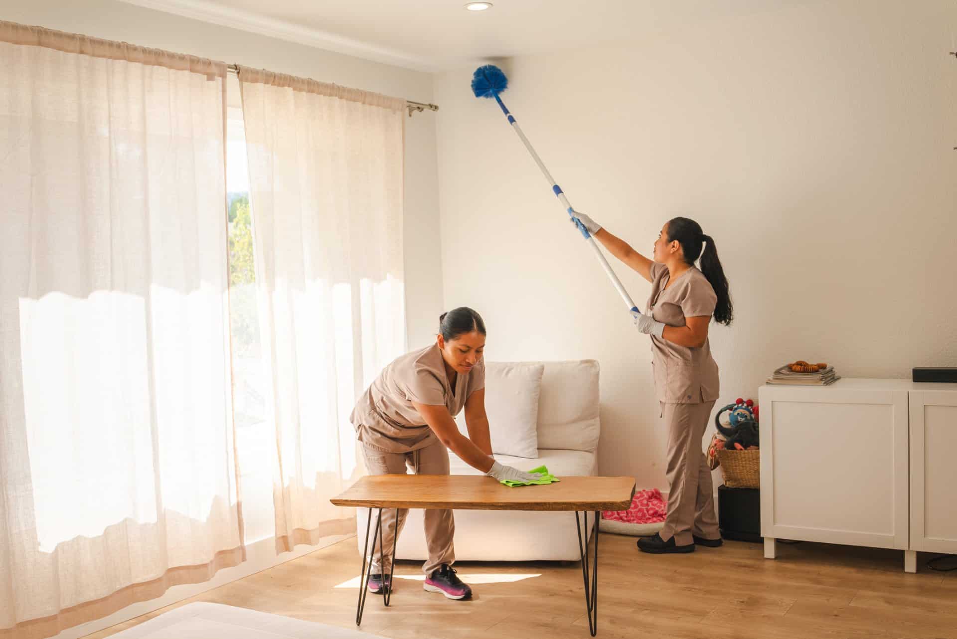 Special Cleaning Projects top picture P2 image